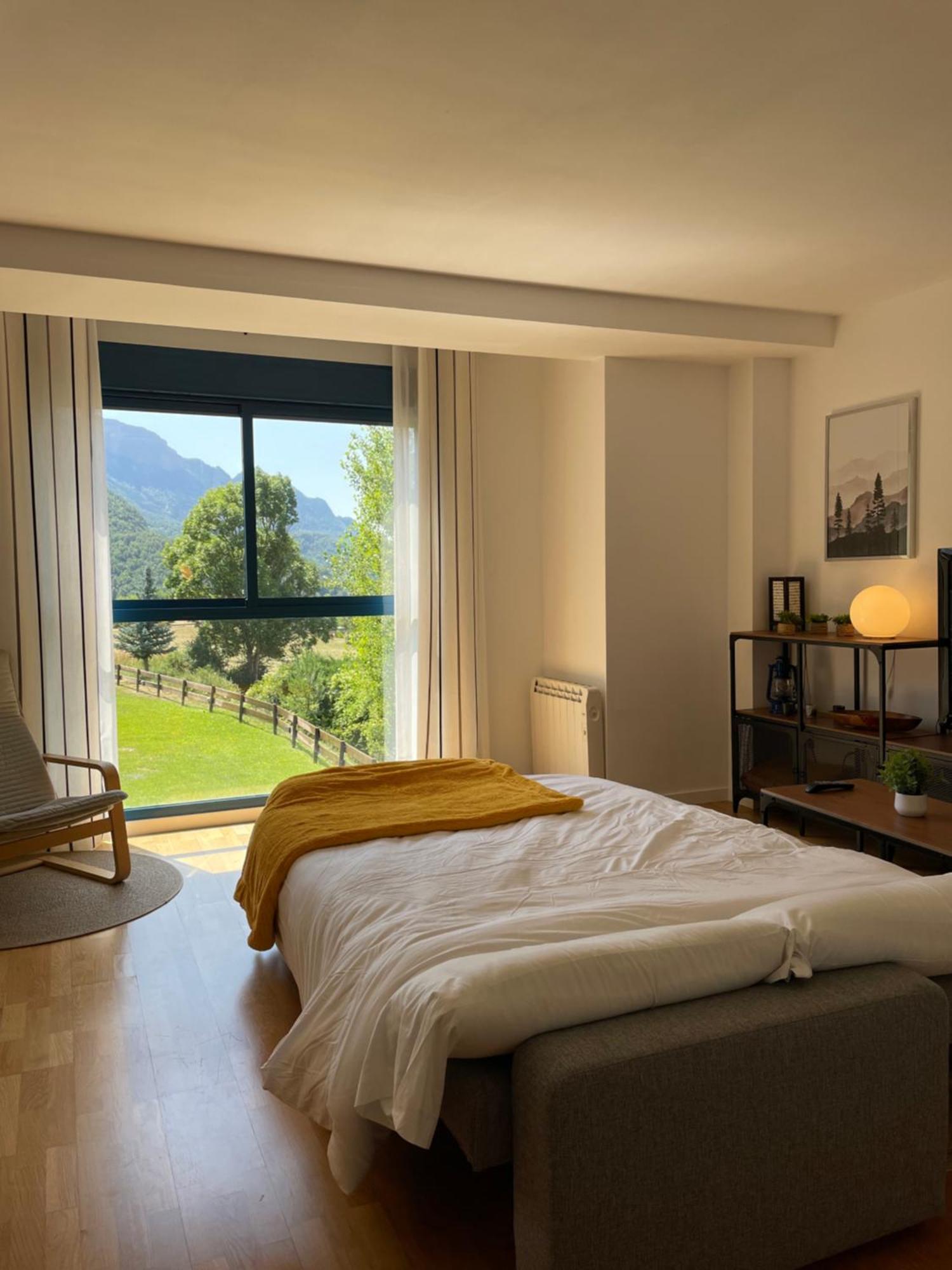 Ventanal De Saras Petfriendly Garaje Trastero Y Chimenea - Arafita Apartamentos Panticosa Kültér fotó